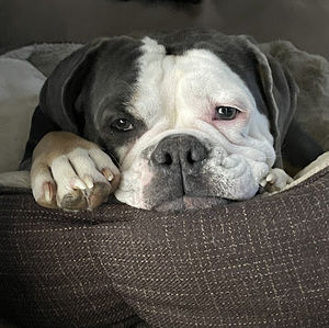 Meet your Posher, Crystal